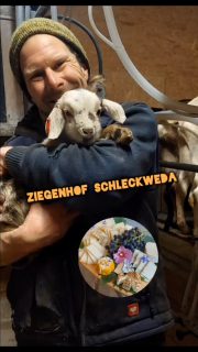 #milchhandwerk #muttergebundenelämmeraufzucht aufzucht