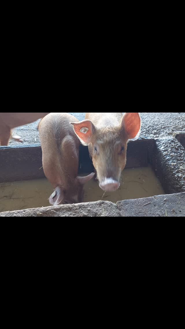 Die "Neuen" - im Februar 25 eingezogen :)