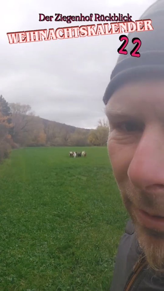 November: Kurz vor Ende der Weidezeit ist es dann doch mal passiert ..... :)