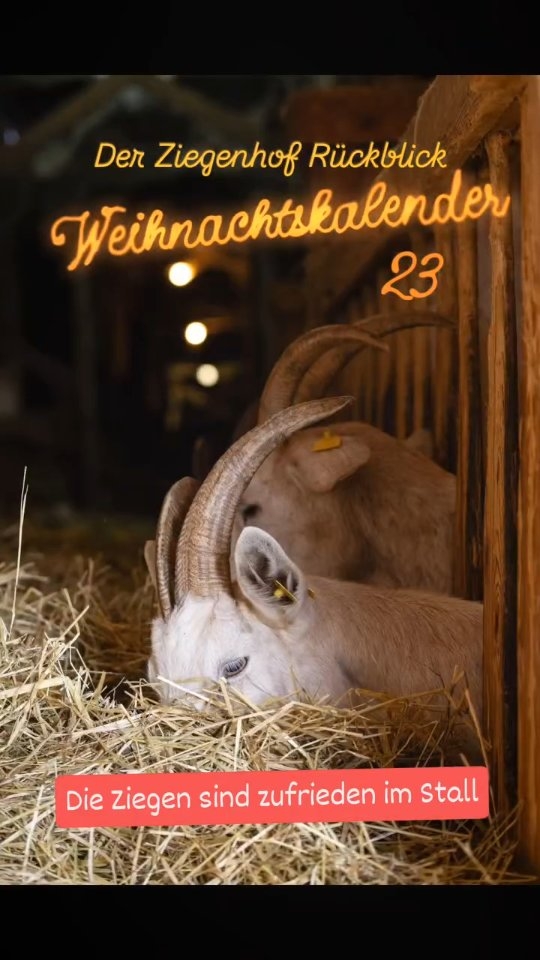 Dezember: Jazz Raclette Abend -  eine Ziegenhof Tradition seit 2007 😀