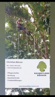 heute werden bei uns Bäume gepflegt...#baumpflege #baumpfleger #burgenlandkreis #zeitz