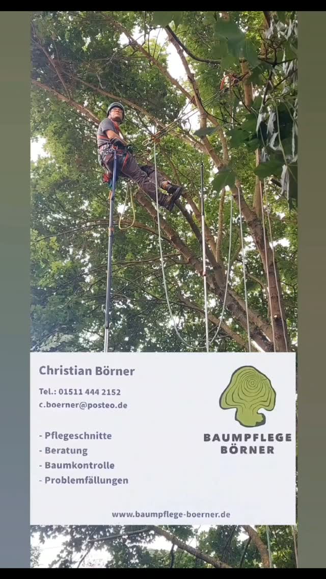 heute werden bei uns Bäume gepflegt...#baumpflege #baumpfleger #burgenlandkreis #zeitz